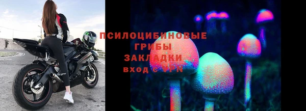 прущие крисы Мензелинск