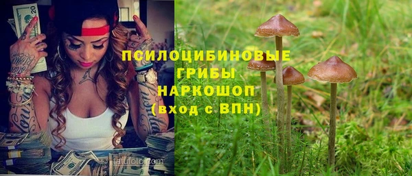 спиды Абаза