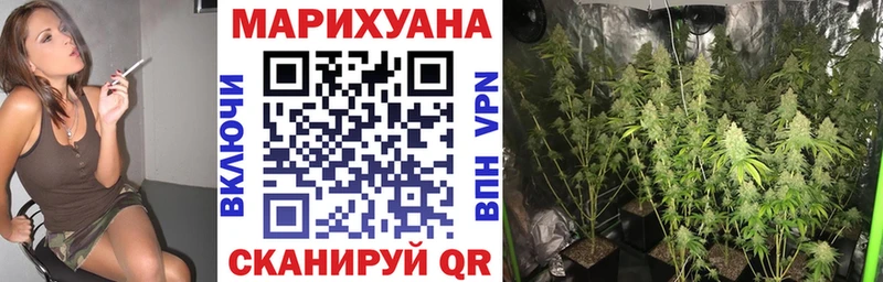 закладка  Тырныауз  Канабис MAZAR 